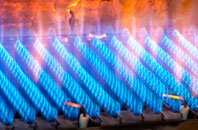Gortin gas fired boilers